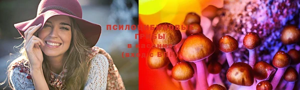 PSILOCYBIN Арсеньев