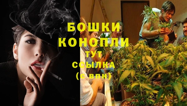PSILOCYBIN Арсеньев